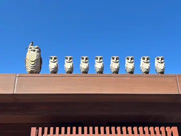 レゴランドⓇ・ジャパン・リゾートに投稿された画像（2026/3/8）