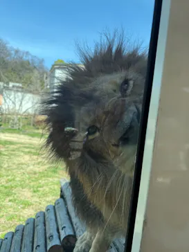 東京動物園協会_多摩動物公園に投稿された画像（2026/3/8）
