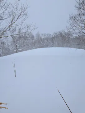 星野リゾート　トマムスキー場に投稿された画像（2026/3/8）