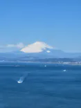 江の島シーキャンドルに投稿された画像（2026/3/9）