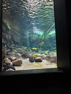 滋賀県立琵琶湖博物館に投稿された画像（2026/3/9）