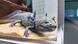 AOAO SAPPOROに投稿された画像（2026/3/9）