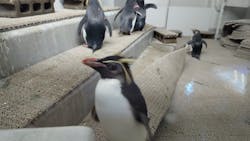 AOAO SAPPOROに投稿された画像（2026/3/9）