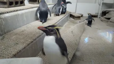 AOAO SAPPOROに投稿された画像（2026/3/9）