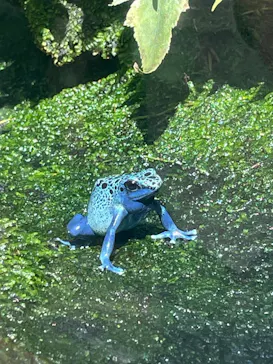 恩賜上野動物園に投稿された画像（2026/3/9）