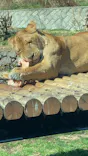 東京動物園協会_多摩動物公園に投稿された画像（2026/3/9）