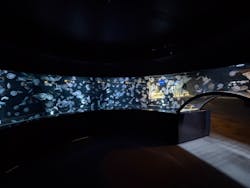 京都水族館に投稿された画像（2026/3/9）