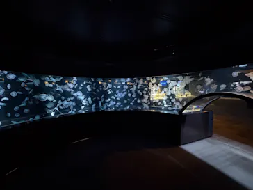 京都水族館に投稿された画像（2026/3/9）