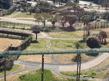 アドベンチャーワールドに投稿された画像（2026/3/9）