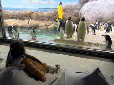 アドベンチャーワールドに投稿された画像（2026/3/9）