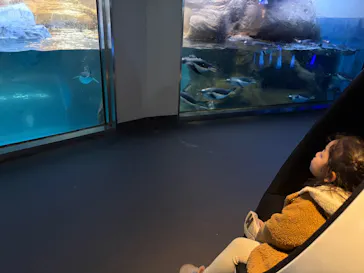 アドベンチャーワールドに投稿された画像（2026/3/9）