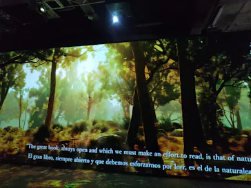 NAKED meets ガウディ展に投稿された画像（2026/3/9）