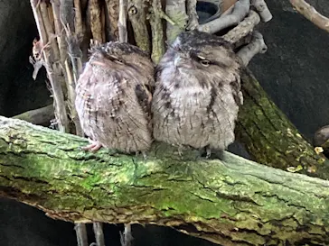 那須どうぶつ王国に投稿された画像（2026/3/9）