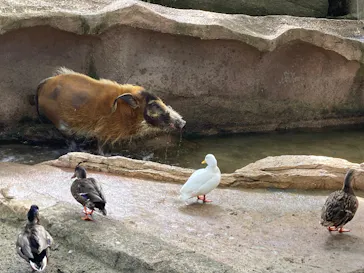 那須どうぶつ王国に投稿された画像（2026/3/9）