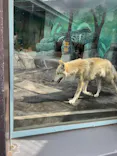 天王寺動物園に投稿された画像（2026/3/9）