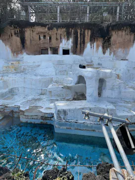 天王寺動物園に投稿された画像（2026/3/9）