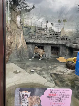 天王寺動物園に投稿された画像（2026/3/9）