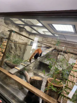 天王寺動物園に投稿された画像（2026/3/9）