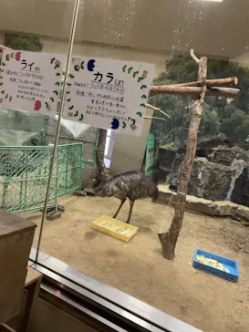 天王寺動物園に投稿された画像（2026/3/9）