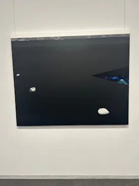 FACE展2026（ＳＯＭＰＯ美術館）に投稿された画像（2026/3/9）