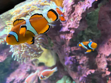 サンシャイン水族館に投稿された画像（2026/3/9）
