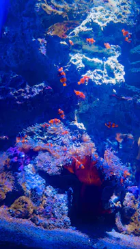 仙台うみの杜水族館に投稿された画像（2026/3/9）