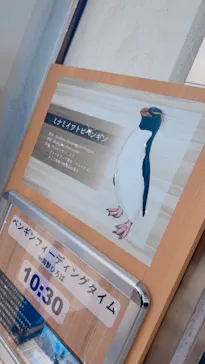 仙台うみの杜水族館に投稿された画像（2026/3/9）