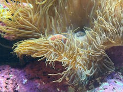 サンシャイン水族館に投稿された画像（2026/3/9）