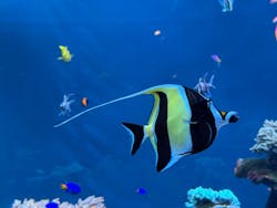 サンシャイン水族館に投稿された画像（2026/3/9）