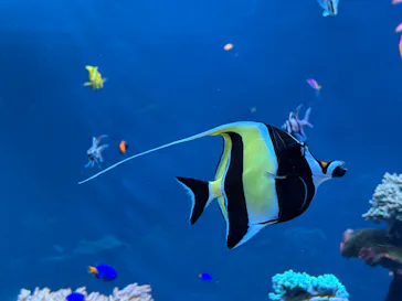 サンシャイン水族館に投稿された画像（2026/3/9）