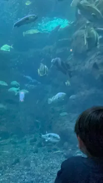 新江ノ島水族館に投稿された画像（2026/3/9）