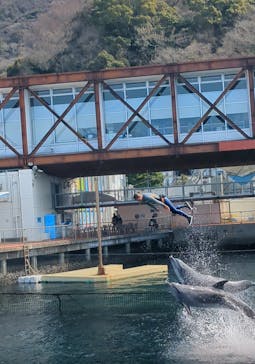 伊豆・三津シーパラダイスに投稿された画像（2026/3/9）