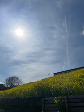 マザー牧場に投稿された画像（2026/3/9）