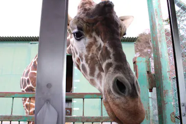 岩手サファリパークに投稿された画像（2026/3/9）