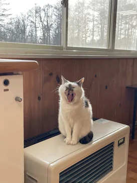 ノーザンホースパークに投稿された画像（2026/3/9）