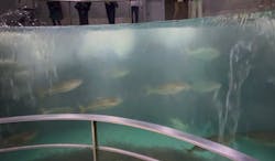 城崎マリンワールドに投稿された画像（2026/3/9）