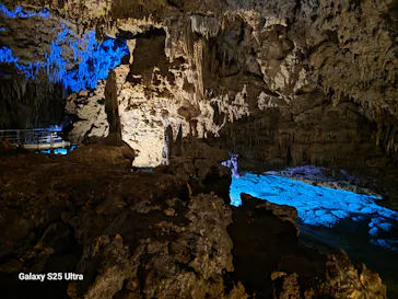 おきなわワールドに投稿された画像（2026/3/9）