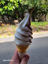 おきなわワールドに投稿された画像（2026/3/9）