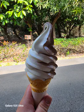 おきなわワールドに投稿された画像（2026/3/9）