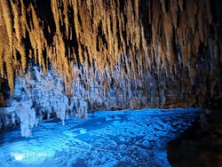 おきなわワールドに投稿された画像（2026/3/9）