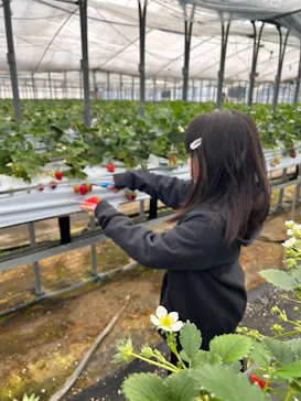 稲鍵ファームに投稿された画像（2026/3/9）