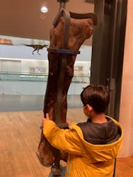 福井県立恐竜博物館に投稿された画像（2026/3/9）