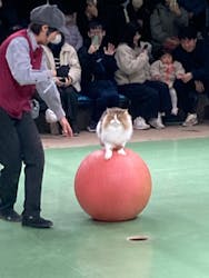 那須どうぶつ王国に投稿された画像（2026/3/9）