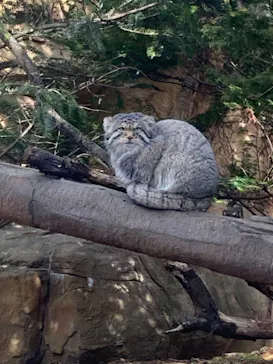 那須どうぶつ王国に投稿された画像（2026/3/9）