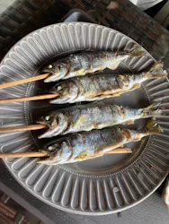 MOUNT Qに投稿された画像（2026/3/9）