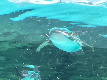 天王寺動物園に投稿された画像（2026/3/9）