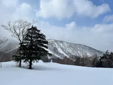 安比高原スキー場に投稿された画像（2026/3/9）