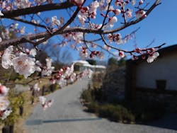 名古屋市東山動植物園に投稿された画像（2026/3/9）