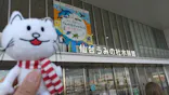 仙台うみの杜水族館に投稿された画像（2026/3/9）