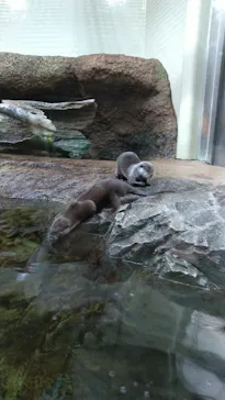 仙台うみの杜水族館に投稿された画像（2026/3/9）